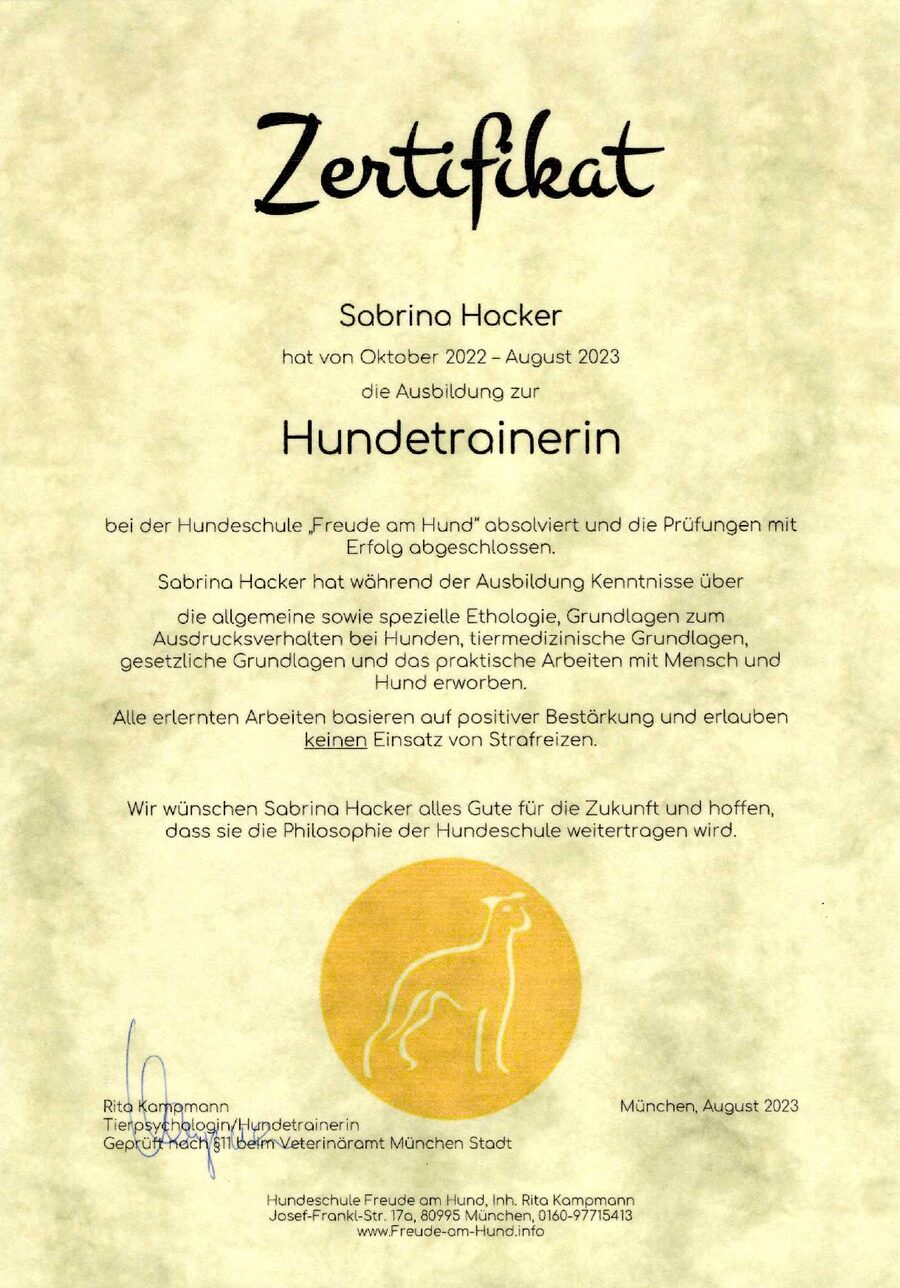 Zertifikat Hundetrainerin